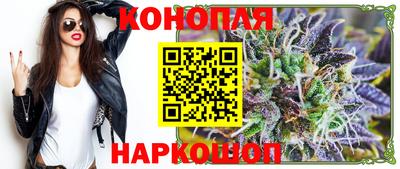 сатива Гатчина
