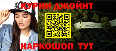 сатива Гатчина
