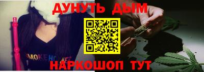 сатива Гатчина