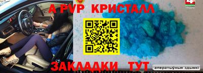 ECSTASY Гагарин