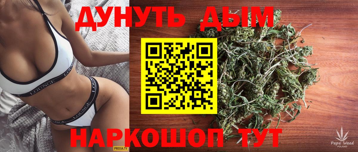 Бошки марихуана White Widow  МАРИХУАНА тримм  Вход с VPN  Канабис планчик  Строитель  Бошки Шишки сатива 